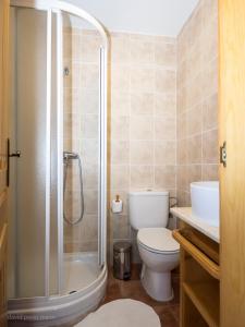 a bathroom with a shower and a toilet and a sink at Albergue Casa Salinas in Secastilla