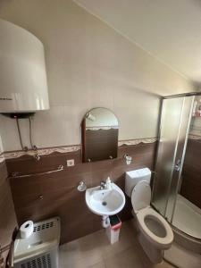 Koupelna v ubytování Apartments Manojlovic