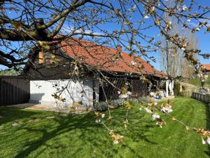A garden outside Kranach 5 - Wohnen beim Wein