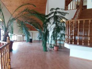 Foto sihtkohas Kápolnásnyék asuva majutusasutuse Hotel Holdfény galeriist