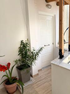 Φωτογραφία από το άλμπουμ του Sea La Vie Apartment στους Αγίους Σαράντα