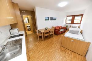 un piccolo appartamento con cucina e soggiorno di Hotel Celjska Koca a Celje