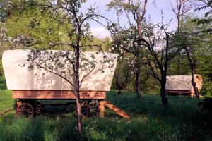 Gornji GradGlamping Tlaka的木拖车,在田野上,有树