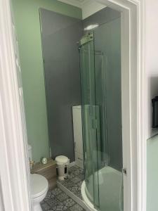 a bathroom with a glass shower and a toilet at Crockets Hotel in Newcastle upon Tyne