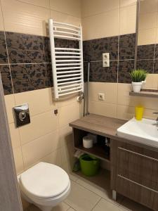 Kúpeľňa v ubytovaní Platina Apartman