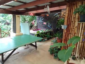 a patio with a green table and plants at Welkom in Weerkom in Kelso