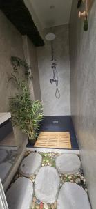 a room with a shower with rocks on the floor at L'Eveil des Sommets in Salazie