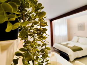 Afbeelding uit fotogalerij van Apartamentos Loft Urdaibai Bermeo in Bermeo