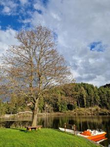 Φυσικό τοπίο κοντά σε αυτό το ξενοδοχείο