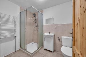 Koupelna v ubytování Apartmán pod Mariánskou horou + 37 fotografií