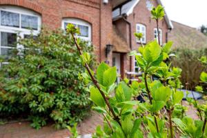 Foto dalla galleria di Ferienwohnungen Alte Schule Klintum a Leck