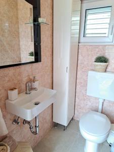 a bathroom with a sink and a toilet at Landhaus Camelia in Otavice +10 photos