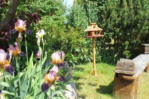 a bird feeder in a garden with purple flowers at Ferienwohnungen im Klönhus in Prerow +37 photos