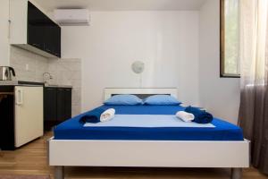 多布罗塔Studio Lanterna in a seaside house的一间卧室配有一张带蓝色床单和蓝色枕头的床。