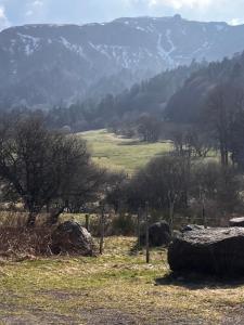 Príroda v okolí apartmánu + 2 fotografie
