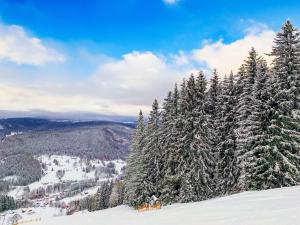 派克波特斯耐兹库Chalet U Dvou vleků by Interhome的雪覆盖的山上的一群松树