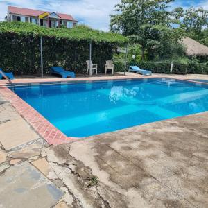 a large blue swimming pool in a yard at Sandai Resort Lake Baringo in Ol Kokwe