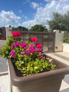 a planter filled with pink flowers on a balcony at Libeccio House in Avola