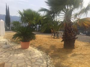 Fotografia z galérie ubytovania El refugio de Elody v destinácii Vélez-Málaga