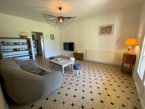 TV a/nebo společenská místnost v ubytování Maison de caractère avec jardin