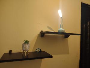 a shelf with a plant and a light on a wall at Casa individual próximo a UFT in Palmas