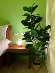 Postel nebo postele na pokoji v ubytování Sea Fun Homestay