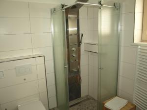 una doccia con una porta in vetro in un bagno di Haus Royal a Lackenhof