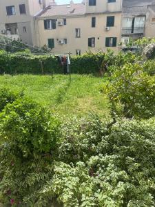 O grădină în afara Apartment DB