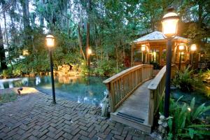 une maison avec un pont sur un étang avec des lumières dans l'établissement Magnolia Plantation & Cottages, à Gainesville
