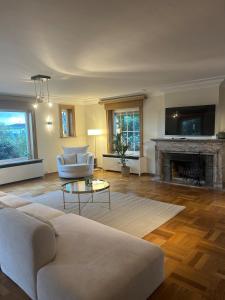 a living room with a couch and a fireplace at Luxury Villa Pool & Spa in Halle