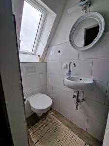 TeschendorfHaus-Fehmarn-am-Dorfteich-|-Wohnung-3-Nord的浴室里有马桶、洗手池和镜子。 更多63张照片