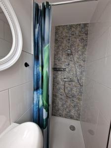 TeschendorfHaus-Fehmarn-am-Dorfteich-|-Wohnung-3-Nord的浴室里有带浴帘的淋浴间