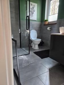 a bathroom with a toilet and a glass shower door at KASZUBY Oliwkowy domek Niesiołowice na Kaszubach Balia z Jacuzzi Jeziora lasy in Niesiołowice +13 photos