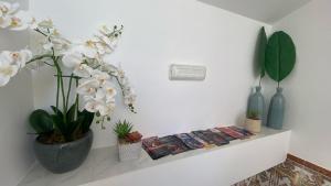 a shelf with books and plants on a wall at APARTAMENTOS CARMEN in Maro