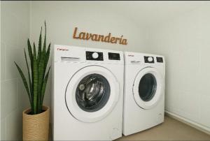 a washer and dryer in a room with a plant at APARTAMENTOS CARMEN in Maro