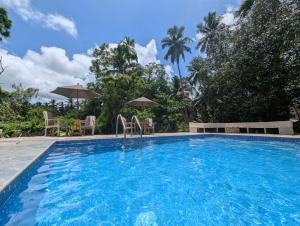 ein Swimmingpool mit Stühlen und Sonnenschirmen in der Unterkunft The Acadian Cottages in Madampe