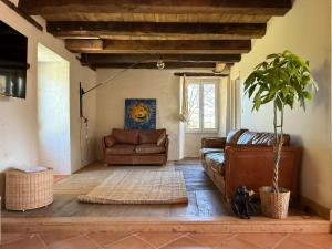 a living room with a couch and a plant at Gite et Spa Chez Marguerite in Angoisse