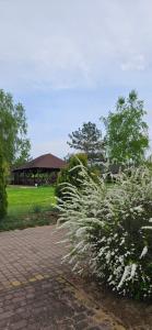 ルシにあるDOMKI w Zaciszuのギャラリーの写真