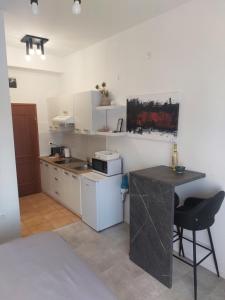 een keuken met een aanrecht en een tafel in een kamer bij STEFAN 2 in Umag +3 foto's