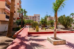 Una acera con palmeras y edificios en una ciudad. en Apartment in Los Cristianos by the beach, en Los Cristianos