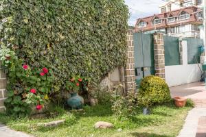 Zahrada ubytování Nomad Hostel