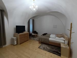 Televízia a/alebo spoločenská miestnosť v ubytovaní Križkov dom