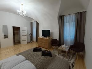 Televízia a/alebo spoločenská miestnosť v ubytovaní Križkov dom