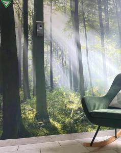 锡根GRÜN möbliertes Wohnen auf Zeit mit 2 Schlafzimmern und 65 Zoll TV的迷雾森林中的一把椅子，墙上有一幅壁画
