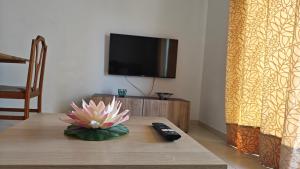 ein Zimmer mit einem Tisch mit einem Fernseher und einer Blume in der Unterkunft Nautic Vista Mar - Apartment in Armação de Pêra