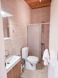 a bathroom with a toilet and a shower and a sink at Olympos Orange Village Nature, Sea and You in Kumluca +15 photos