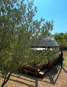 Zahrada ubytování Le Sicilien Dome et Spa privatif + 5 fotografií