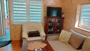 a living room with a couch and a tv at Oleandria-,, Domek Mięta" in Biskupiec
