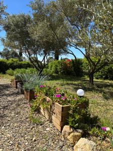 a row of wooden boxes with flowers in a garden at Appartement Romana PUISSALICON 34 in Puissalicon