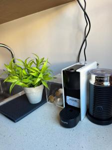 a coffee maker and a toaster and a plant on a counter at La Villa de Herce in Herce
